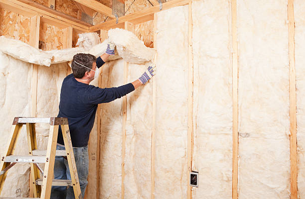 Best Eco-Friendly Insulation Solutions  in Allendale, NJ