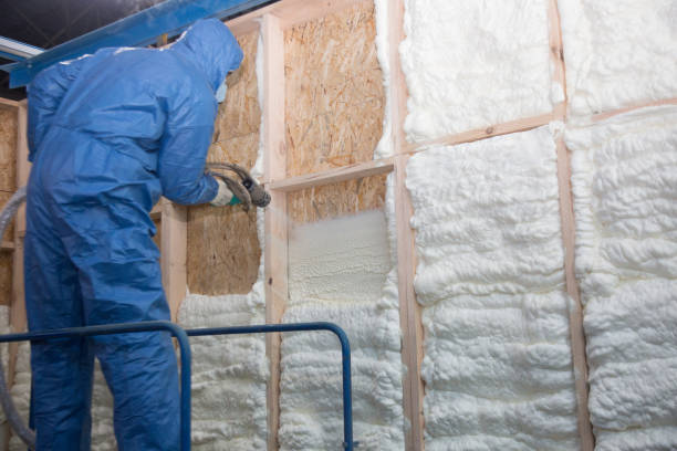 Eco-Friendly Insulation Solutions in Allendale, NJ